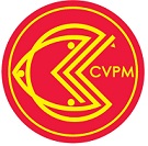 Centro Velico Punta Marina