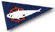 Tarpon Springs Yacht Club